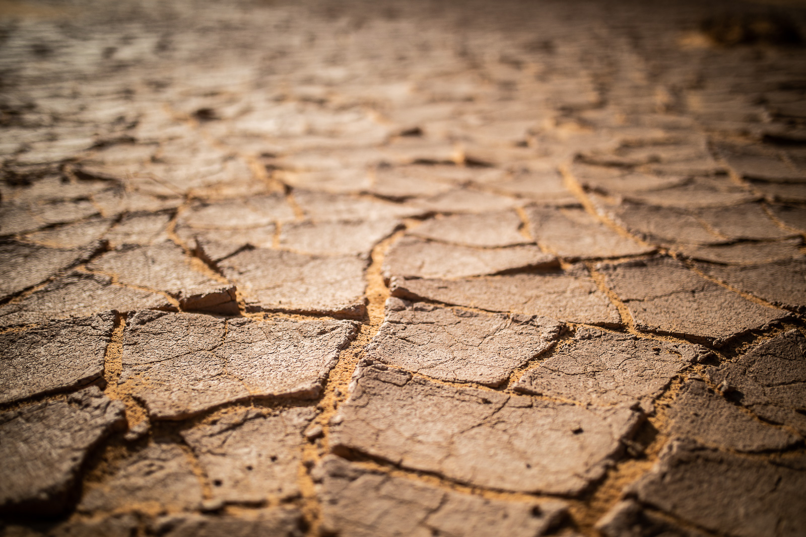 Human & Nature  outoftime 65